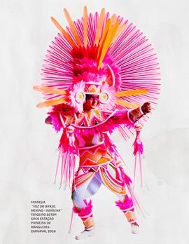 Este es el traje que llevar&aacute; Camilo Zamora en el Carnaval de R&iacute;o de Janeiro. Se llama Menino Ind&iacute;gena.<br>Tomada de la p&aacute;gina: www.mangueira.com.br